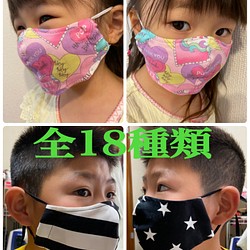 選べる2枚セット　全18種類 キッズ　子供用　布マスク　可愛い　園児　フィルターポケット　幼稚園　小学生 1枚目の画像