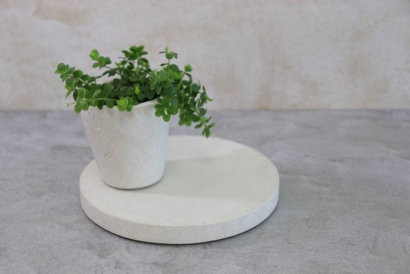 丸型小物トレイ「ホワイト」Ｗ175㎜×D175㎜ 厚16㎜小物置き 植物鉢台 アクセサリートレイ 1枚目の画像