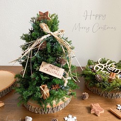 テーブルクリスマスツリー〜forest〜【BOXラッピング付き】 1枚目の画像