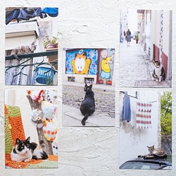 【旅するポストカード】ポルトガルの猫・ポストカードセット５枚組 1枚目の画像