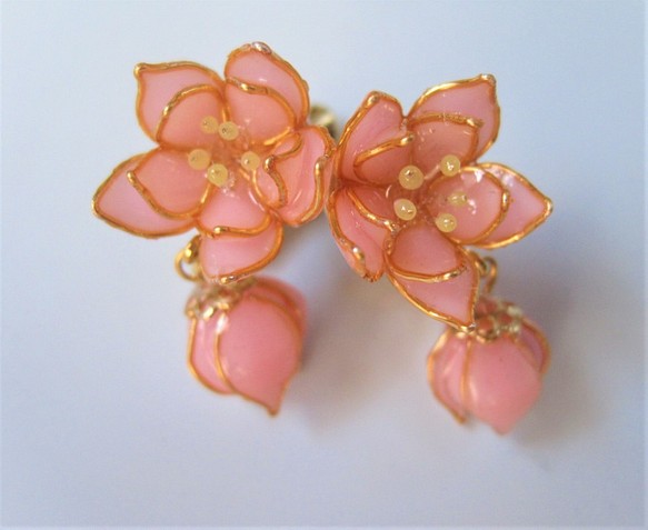 淡いピンクの桃の花 1枚目の画像