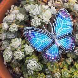 モルフォ蝶のブローチ　ビーズ刺繍 1枚目の画像