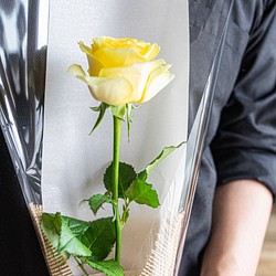 【バラ1本】バラの1輪ブーケ おまかせバラを1本を丁寧にラッピング 誕生日 記念日 約H30cm 1枚目の画像
