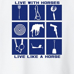 馬との日々/デザイン変更調整可/ドライ Tシャツ/ホワイト/タイプC 1枚目の画像