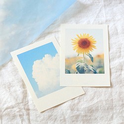 ポストカード*向日葵と夏空 1枚目の画像