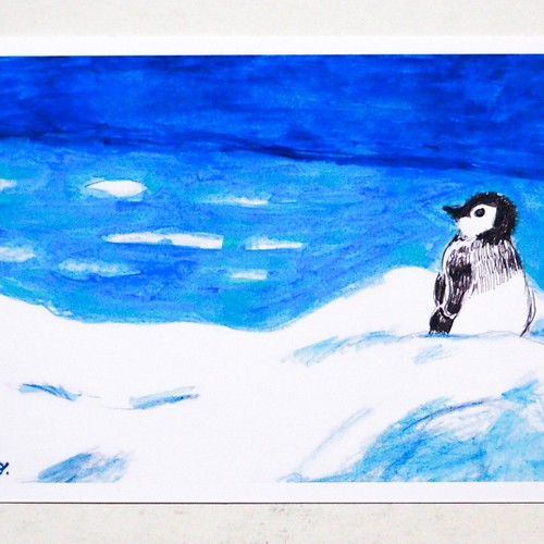選べるペンギンの赤ちゃんポストカード4枚セット送料無料 カード レター あおいとり 通販 Creema クリーマ ハンドメイド 手作り クラフト作品の販売サイト