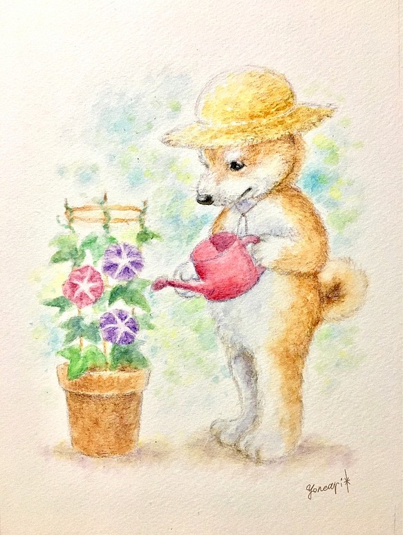 水彩画 朝顔の世話をする柴犬 絵画 よねあり 通販 Creema クリーマ ハンドメイド 手作り クラフト作品の販売サイト