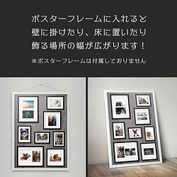 ③ 写真が飾れるポスター「シャシンカベのポスター」A1サイズ ☆送料無料☆ 10枚目の画像