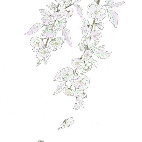 ３月６日の誕生花 ウコン桜 気品ある行いは素敵です イラスト 若林佳子 通販 Creema クリーマ ハンドメイド 手作り クラフト作品の販売サイト