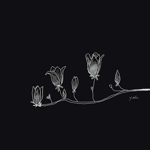 ５月16日の誕生花 もくれん 自然の素晴らしさに感動しました イラスト 若林佳子 通販 Creema クリーマ ハンドメイド 手作り クラフト作品の販売サイト