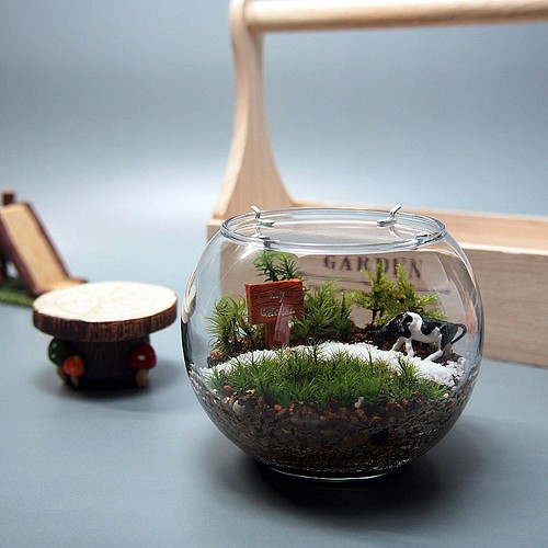 苔テラリウム 手作りキット一式 金魚鉢 フラワー リース 工房 津軽moss 通販 Creema クリーマ ハンドメイド 手作り クラフト作品の販売サイト