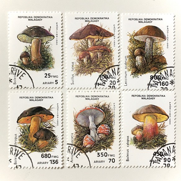 キノコ切手6種類 B（使用済外国切手・古切手）｜アンティーク・ヴィンテージ 1枚目の画像