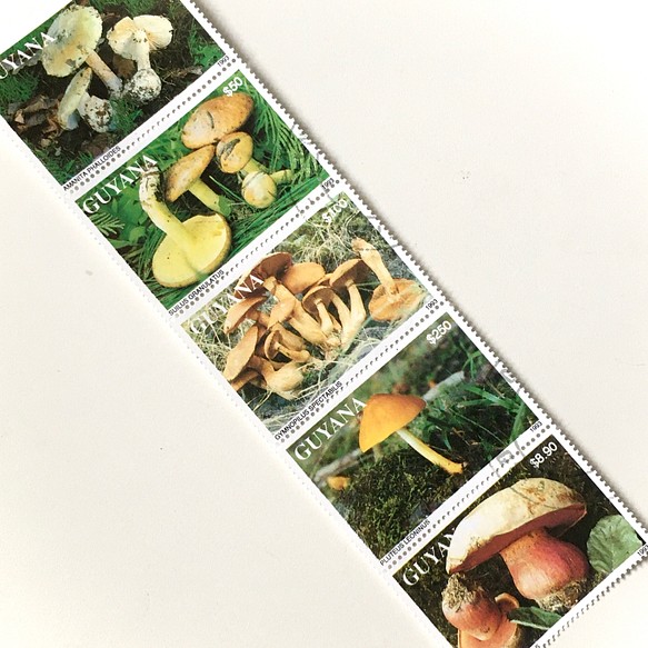 5種蘑菇郵票E（舊郵票/舊郵票）｜古董/復古 第1張的照片