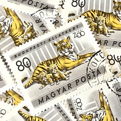 10張虎父子郵票匈牙利（外國郵票/舊郵票）|古董/復古 第1張的照片
