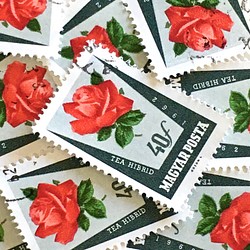 玫瑰郵票 B 10 枚匈牙利（外國郵票/舊郵票）| 古董/復古 第2張的照片