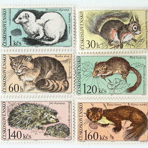 猫 イギリス 1995年 外国切手5種 未使用【猫 動物 古切手 ハンドメイド 