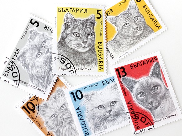 一套 6 枚貓郵票保加利亞 1989 年（外國郵票/舊郵票）| 古董/復古 第1張的照片