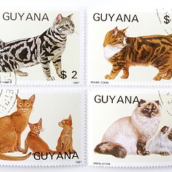 套4種貓郵票|圭亞那共和國1987（外國郵票/舊郵票）|古董/年份 第1張的照片