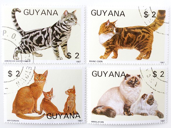 套4種貓郵票|圭亞那共和國1987（外國郵票/舊郵票）|古董/年份 第1張的照片