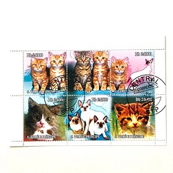 6 張貓郵票 | 聖多美和普林西比民主共和國（外國郵票/舊郵票） | 古董/復古 第1張的照片