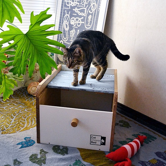 引き出さないタンスベッド「Cat Drawer Bed（キャットドロワーベッド