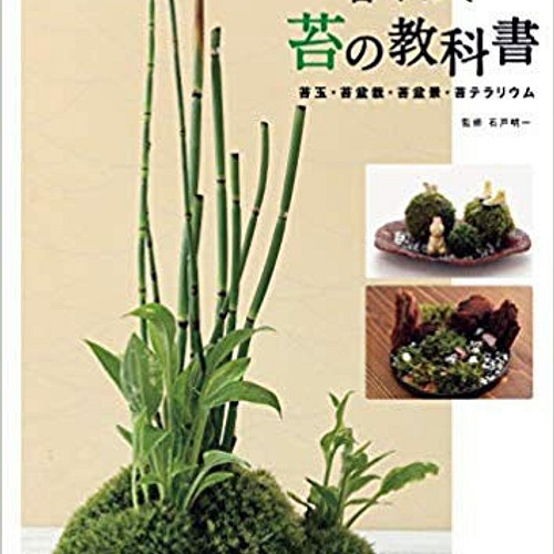 透明感溢れるお洒落なインテリアグリーンのテーブルヤシ 水耕栽培仕立ての観葉植物で 園芸初心者の方でも管理は簡単です フラワー リース 緑花星 通販 Creema クリーマ ハンドメイド 手作り クラフト作品の販売サイト