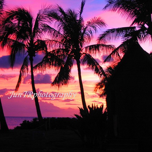 Pink Sunset】ハワイ海の写真 夕陽 オーシャン ビーチ ヤシの木 南の島