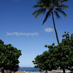 【Hawaiian Canoe】ハワイ写真　オーシャン　ビーチ　青い海　ヤシの木　南の島　南国　風景写真　マットフレーム 1枚目の画像