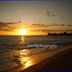 【Golden Path】ハワイ写真　ゴールドの海　サーフィン　ビーチ　ヤシの木　南の島　夕陽　風景写真　マットフレーム 1枚目の画像