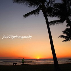 【Sunset Walk】ハワイ写真　夕陽　散歩　オーシャン　ビーチ　ヤシの木　南の島　南国　風景写真　マットフレーム