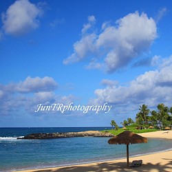 【Palm Shadows】ハワイ写真 海 青空 パームツリー ビーチ ヤシの木 南の島 南国 風景写真 マットフレーム 写真・グラフィック  JunTRphotography 通販｜Creema(クリーマ) 9838217