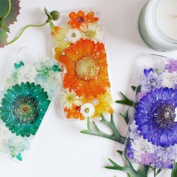 【非洲菊】color palette壓花 iPhone7 保護殼 第1張的照片