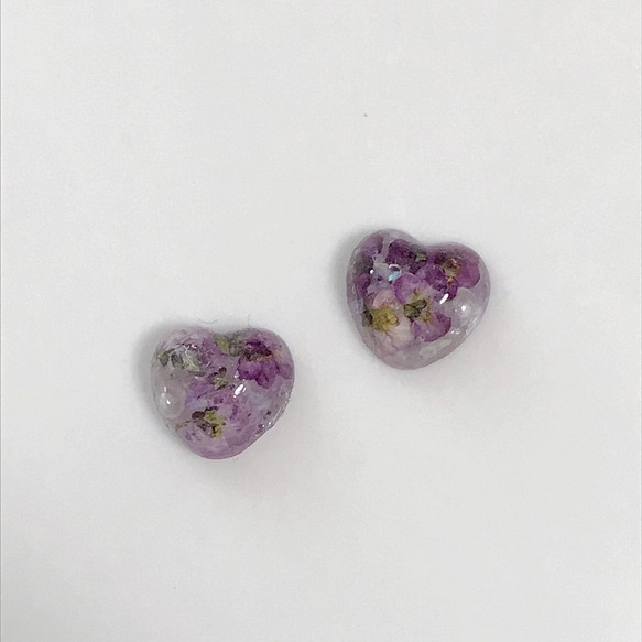 紫アリッサムのピアス 1枚目の画像