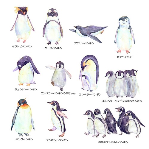 11種類セット 絵本風ペンギンさんのステッカーミニサイズ 耐水 Uvカット 光沢素材で長期間綺麗 シール ステッカー オトン 通販 Creema クリーマ ハンドメイド 手作り クラフト作品の販売サイト