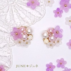 大量的薰衣草花、棉珍珠 * Bijou 耳環和耳環 第1張的照片