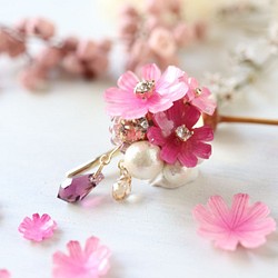 秋花，波斯菊*燕子寶石，棉珍珠小馬鉤 第1張的照片