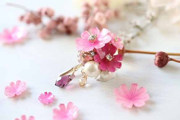 秋花，波斯菊*燕子寶石，棉珍珠小馬鉤 第1張的照片