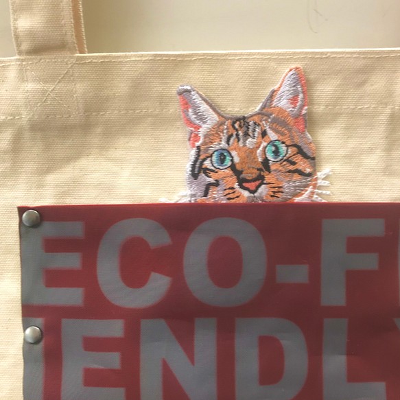プリントポケット付き キャンバス ト ートバッグ　ECO-FRIENDLY-1  ネコがひょっこり! 1枚目の画像