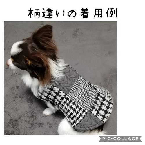 No.57 犬服 アウター パッチワークコート /チワワ/超小型犬 xxs ペット