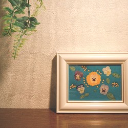 ビオラファイブ／押し花専用フレーム 1枚目の画像