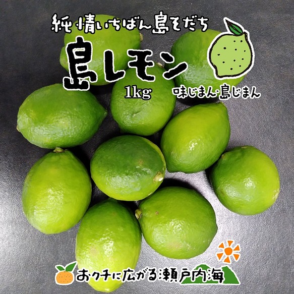 希望の島 グリーンレモン 1kg 家庭用 愛媛県 中島産 国産レモン 果物