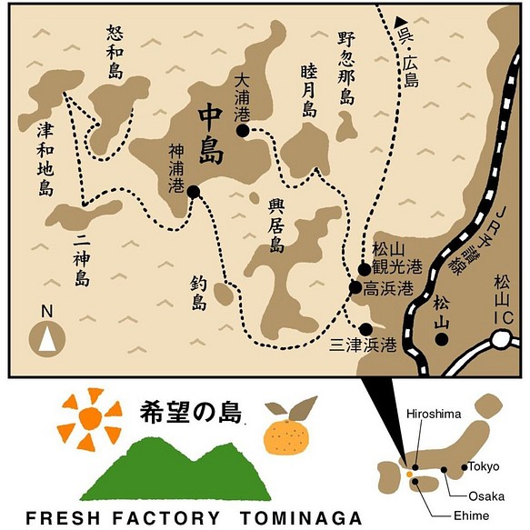 希望の島 グリーンレモン 1kg 家庭用 国産レモン 中島産 21 愛媛県