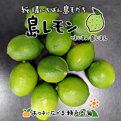 希望の島 グリーンレモン 2kg～ 家庭用 愛媛県 中島産 国産レモン 1枚目の画像