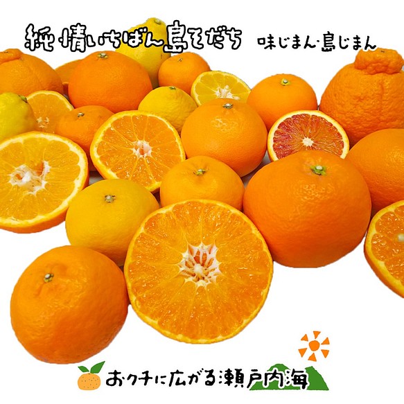 希望の島 旬の柑橘詰合せ 訳あり品 2kg サイズ不揃い 愛媛 中島産 1枚目の画像