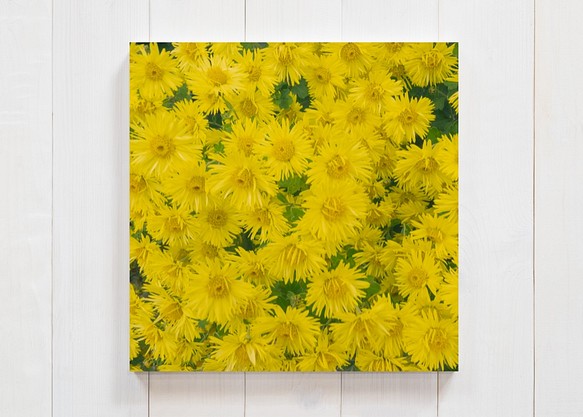 黄色い花束　正方形キャンバスプリント・ファブリックパネル 絵画風の写真でワンランク上のお部屋に 1枚目の画像