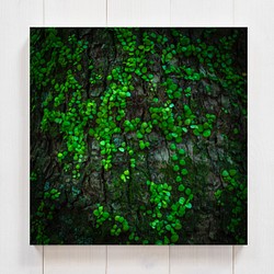 緑のつぶつぶ　正方形キャンバスプリント・ファブリックパネル　樹木の力強さを感じる作品です♪ 1枚目の画像