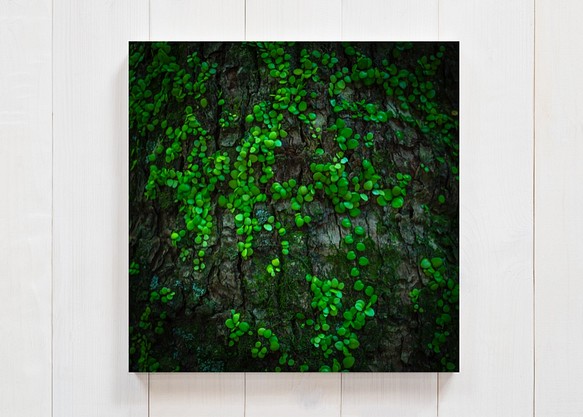 緑のつぶつぶ　正方形キャンバスプリント・ファブリックパネル　樹木の力強さを感じる作品です♪ 1枚目の画像