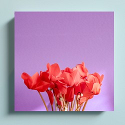 真紅花　正方形キャンバスプリント・ファブリックパネル　鮮やかな背景がお花とお部屋を際立たせます♪ 1枚目の画像