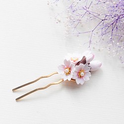 櫻花的頭髮裝飾 第1張的照片