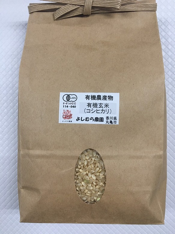 有機玄米（コシヒカリ）５ｋｇ香川産／2021年産 1枚目の画像